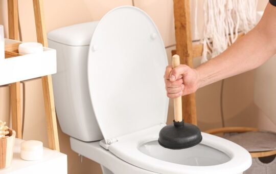 Tuvalet Açıcılar Ne Kadar Etkili? Kimyasal mı Doğal mı?